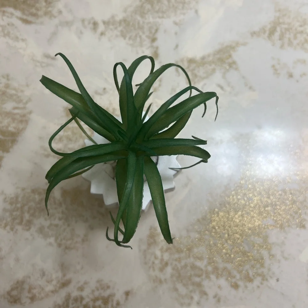 Indoor faux plant